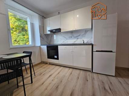 Przytulne 2 pokoje, pet-friendly - 11 Listopada115