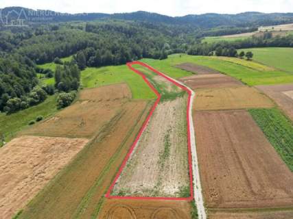 UROKLIWA DZIALKA 1,10 HA W JODŁOWEJ - OTOCZONA NATURĄ, Z P