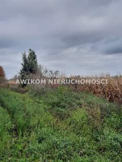 Działka budowlana na sprzedaż, 3001 m2, Zazdrość