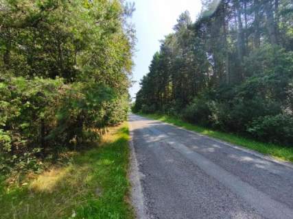 Działka 3000 m2 w otoczeniu zieleni Marianek, gmina Gorzkowice...