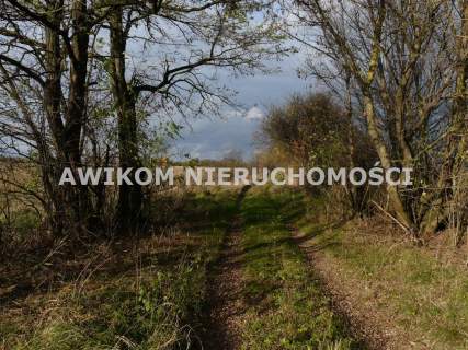 Działka rolna na sprzedaż, 162570 m2, Wycześniak