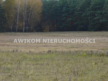 Działka rolna na sprzedaż, 162570 m2, Wycześniak