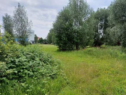 Działka inwestycyjna na sprzedaż, 3000 m2, Malbork