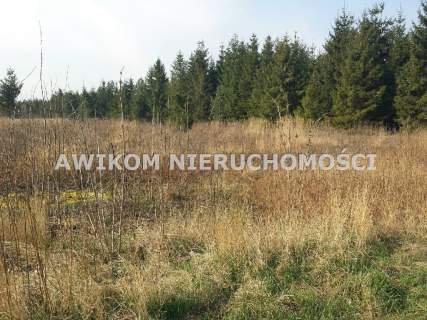 Działka rolna na sprzedaż, 20200 m2, Szeligi