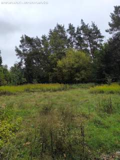 Wawer, dom 230 m2, działka 1184 m2, do remontu