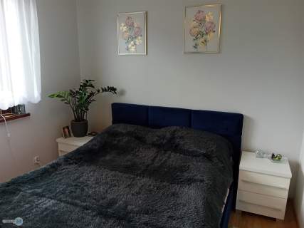 Atrakcyjny, parterowy dom z dużą działką 
