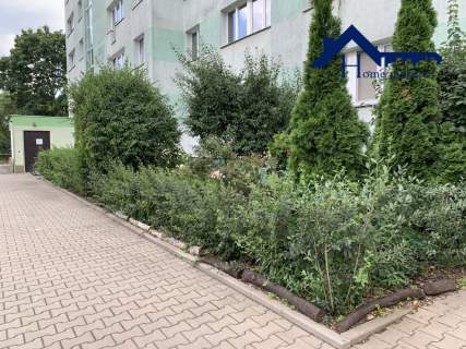 Cicha, zielona okolica, dobra komunikacja
