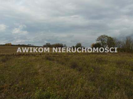 Działka rolna na sprzedaż, 162570 m2, Wycześniak