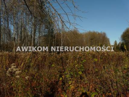 Działka budowlana na sprzedaż, 2641 m2, Budy Zaklasztorne