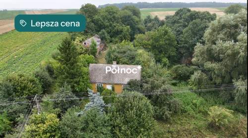 Drewniany dom z dużą działką i sadem-Telatyn