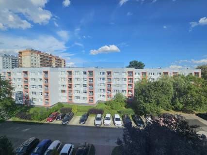 M-3 na wynajem Raków