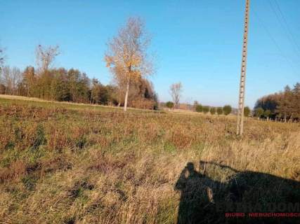 Dom wolnostojący z dużą działką