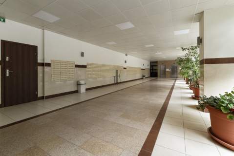 Jasna kawalerka ścisłe centrum widok na Pałac