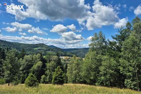 Cisza, las i górski klimat