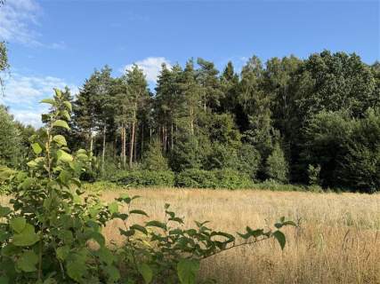 Działka - Stare Bielice