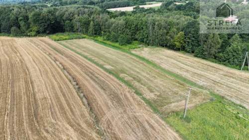 Duża działka budowlano-zagrodowa 37,75 ara - Poręba Radlna k....
