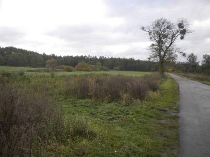 Działka budowlana na sprzedaż, 3900 m2, Kotuń