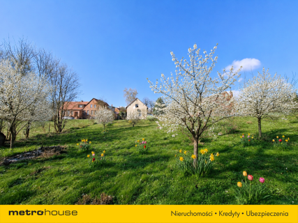 Dom z ogrodem Kowale / Oborniki Śl. / Trzebnica