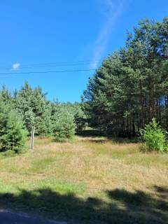 Działka budowlana o powierzchni 1686 m2, Prażuchy Nowe