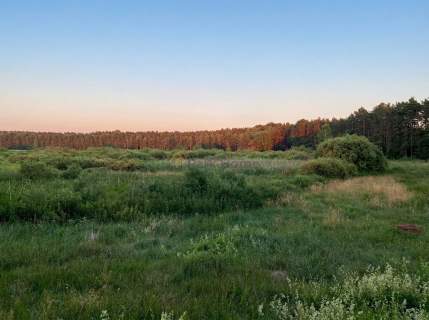 Nad jeziorem i przy lesie   wyjątkowa działka 3959
