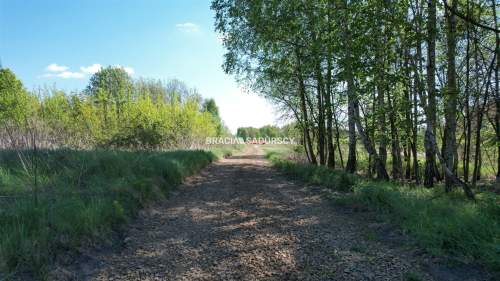 Działka budowlana na sprzedaż, 5290 m2, Przeginia Narodowa