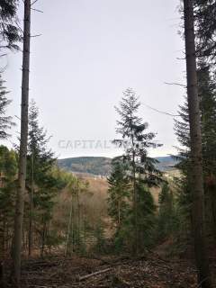 działka Beskid Mały