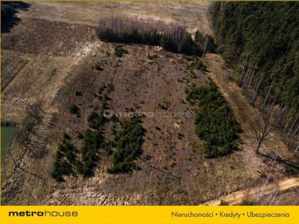 Działka budowlana na sprzedaż, 3005 m2, Gąba