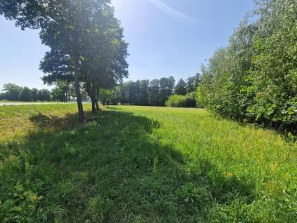 Działka inwestycyjna 1,11ha - Borysławice Zamk. sprzedam lub...