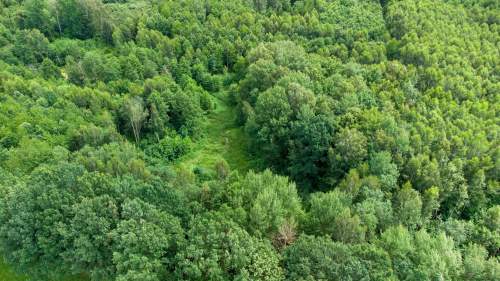 Działka siedliskowa na sprzedaż, 60200 m2, Nowe Mieczysławy
