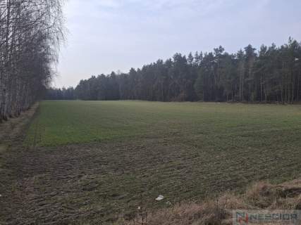 Dwie działki budowlane po 1000 m w Boroszkowie