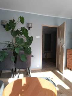 2 pok, ok. 50 m2, ul. Stróża Rybna/Saska, Płaszów