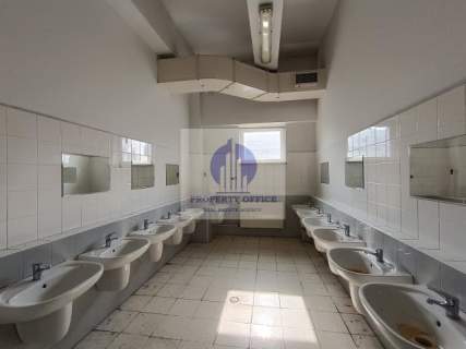 Praga Północ lokal biurowo-usługowy 259,93m2 do wynajęcia