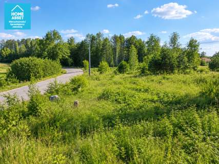 Przy lesie 70 m od drogi powiatowej