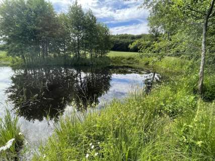 1,56ha DZIAŁKA BUDOWLANA ZE STAWEM 35min od Gdańsk