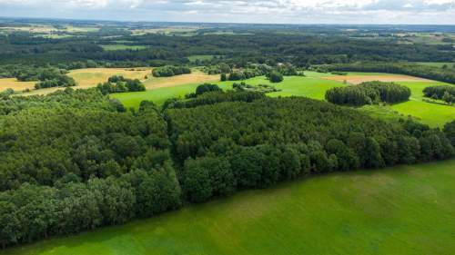 Działka siedliskowa na sprzedaż, 60200 m2, Nowe Mieczysławy
