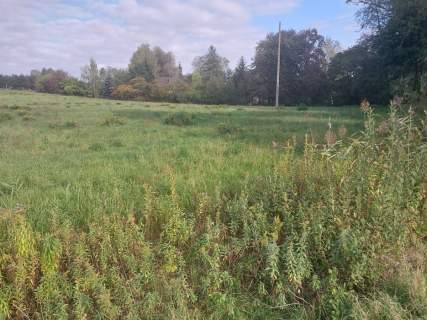 Działka inwestycyjna 1,7h