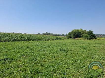 Niegoszowice gm. Zabierzów - płaska działka 4407 m2