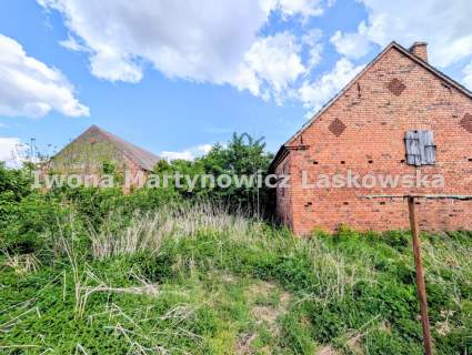Siedlisko - 1,18 ha działka, Boraszyn, Gmina Wołów