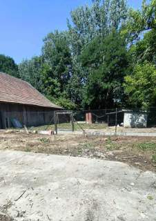 Dom w Samocicach z działką 18,49 ara