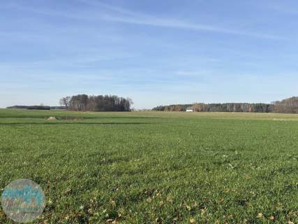 Ponad 6 ha ziemi idealne pod siedlisko, agroturystykę, st