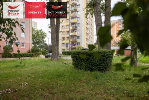 Mieszkanie na sprzedaż, 38,5 m2, Gdynia