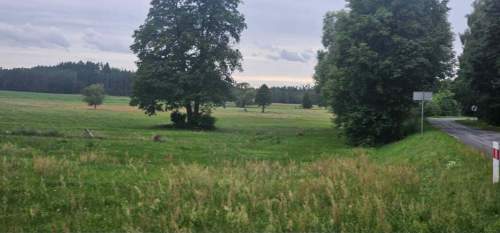 Działka z widokiem na las, 1810m2 w Kadzidle