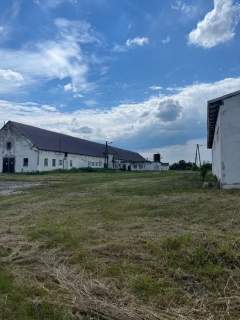 Ferma trzoda/drobiu