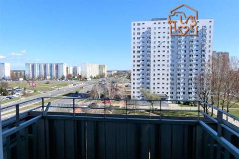 Duża kawalerka 32m , pet-friendly - Chrobrego 26