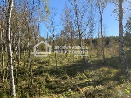 Działka siedliskowa 100.358m2, Jaroszewy/Skarszewy