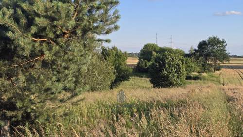 Działka budowlana 75ar Podzamcze gmina Łęczna