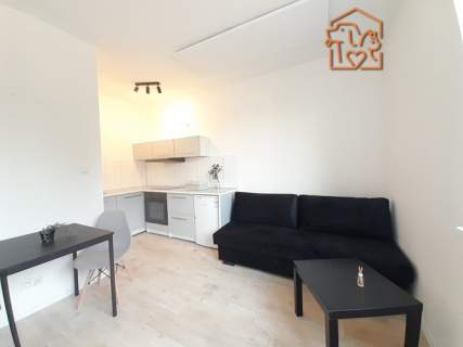 Kawalerka 25 m2, pet-friendly - Kukułek 18
