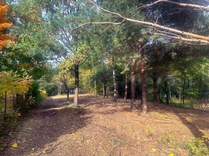 Budowlana nad rzeką Świder 30min z W-wy trasą S17