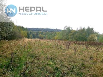 Działka Baszowice, gm Nowa Słupia