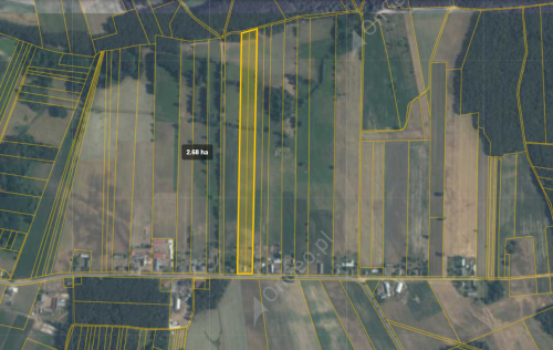Pakiet Ziemi 4,64 ha, Nowa Wieś, gm.Siemiątkowo, pow.żuromin